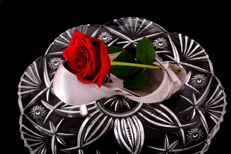 Lady's Shoe and rose isolate over black on crystalの写真素材