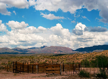 The Sonora desert in central Arizona USAの写真素材