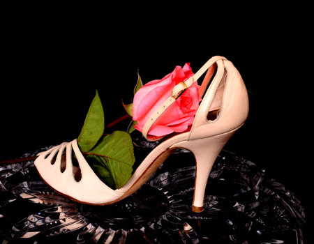 Woman's's Shoe and rose isolate over black on crystalの写真素材