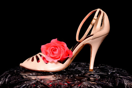 Woman's's Shoe and rose isolate over black on crystalの写真素材