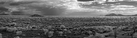 The Sonora desert in central Arizona USAの写真素材