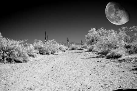 Desert moon over the southwestern USA desert and mountainsの写真素材
