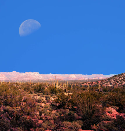 Moon over Sonora desert in central Arizona, USAの写真素材