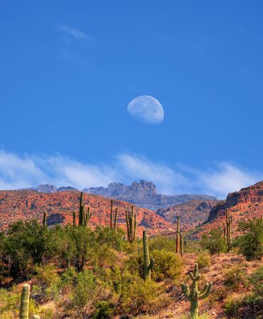 Desert moon over the southwestern USA Sonora desert and mountainsの写真素材