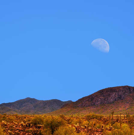 Moon rising Sonora desert in central Arizona USAの写真素材