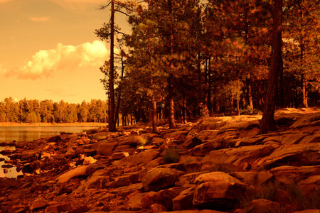 Forest lake with clouds and golden evening lightの写真素材