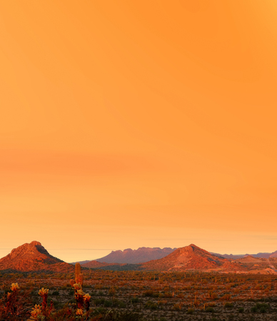 Sunset Sonora desert in central Arizona USAの写真素材