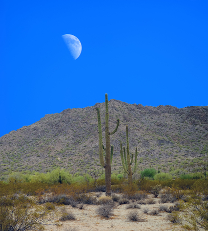 Desert moon over the southwestern USA Sonora desert and San Tan mountainsの写真素材