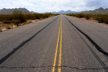 Early morning Sonora desert road with saguaro cactus