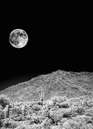 Infrared monochrome desert moon over the southwestern USA Sonora desert Arizona and mountainsの写真素材