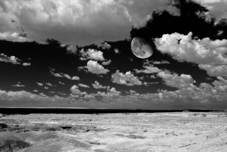 Moon over Scenic landscape of the ancient petrified forest in Arizonaの写真素材