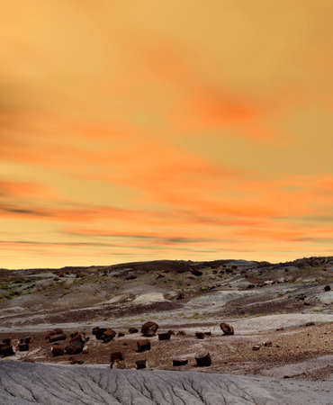 Sunset landscape of the ancient petrified forest in Arizonaの写真素材