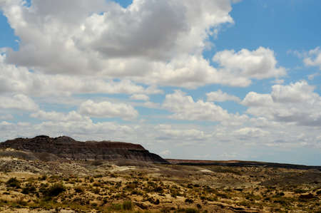Scenic landscape of the ancient petrified forest in Arizonaの写真素材