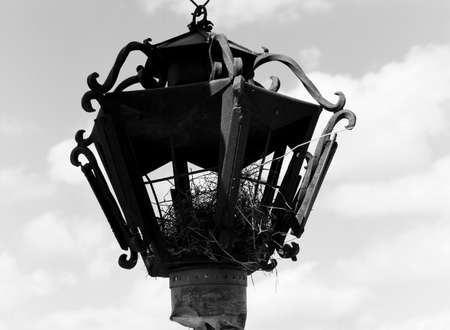 Vintage Broken Street Lamp with a bird's nest insideの写真素材