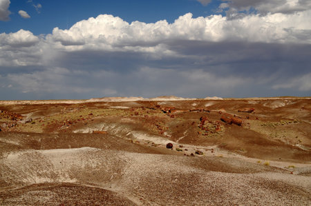 Desolate and Scenic landscape of the ancient petrified forest in Arizonaの写真素材