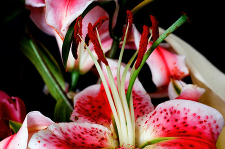 Floral arrangement isolated over a black backgroundの写真素材