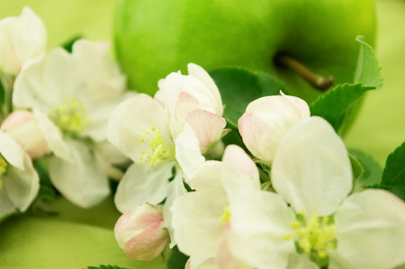 Green and whiteの写真素材