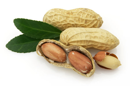 Peanuts with leaves