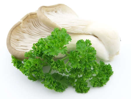 mushroom with parsleyの写真素材
