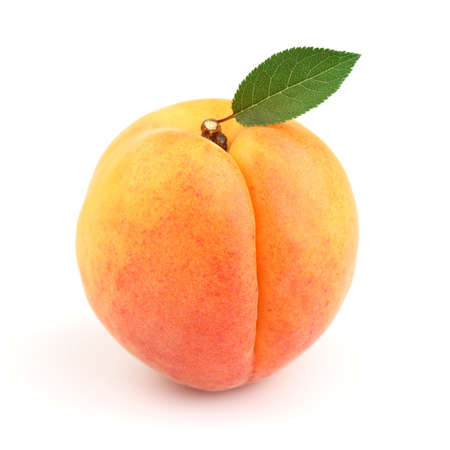 Sweet ripe apricot with leavesの写真素材