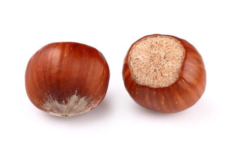Two dried hazelnuts