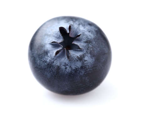 Blueberry in closeupの写真素材