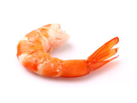 Shrimp in closeupの写真素材