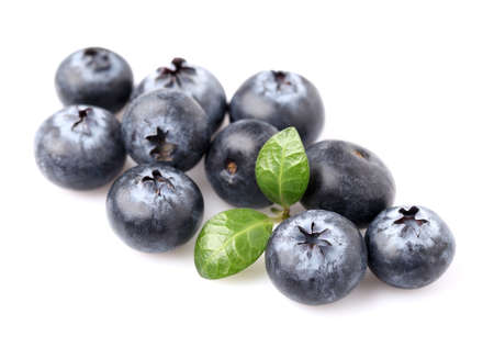 Fresh blueberry with leafの写真素材