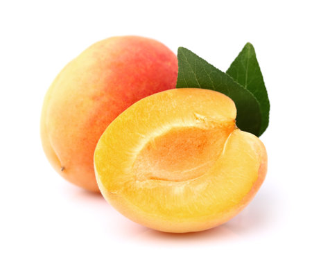 Fresh apricots with leavesの写真素材