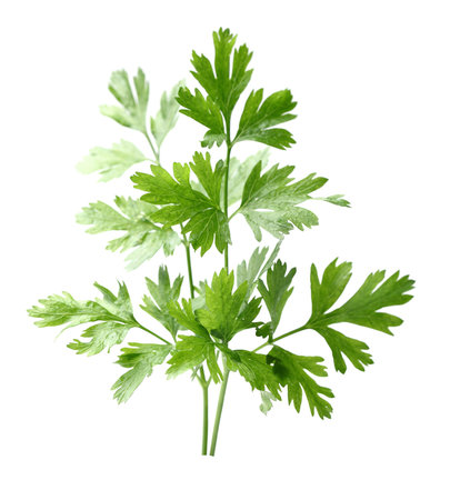 Parsley spice