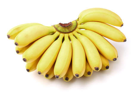 Banana baby in closeupの写真素材