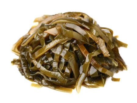Seaweed in closeupの写真素材