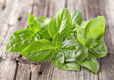 Basil leaves on a wooden backgroundの写真素材