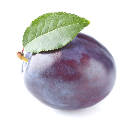 Ripe plum with leafの写真素材