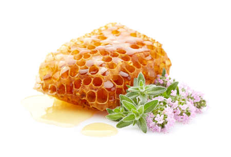 Honeycomb with thyme plant
Thyme honey on white backgroundの写真素材