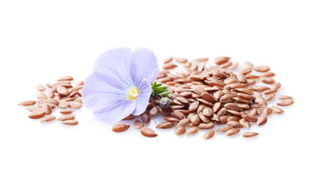 Flax flower with seeds on white backgroundの写真素材