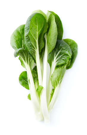 Chinese paksoi on white backgroundの写真素材