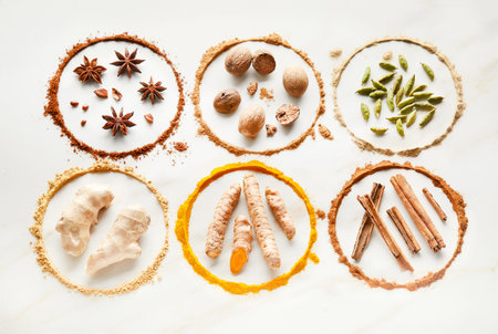 Circle of spices in closeupの写真素材