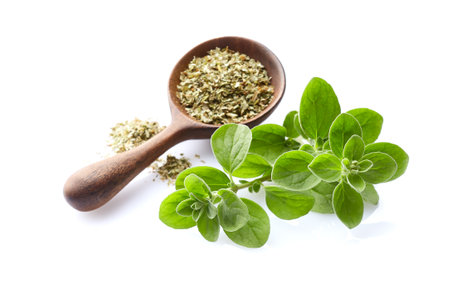 Marjoram twigs with dry marjoram in wooden spoon on white backgroundの写真素材