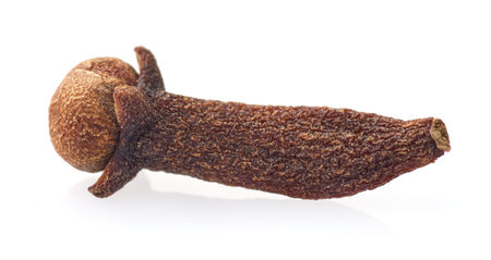Clove closeup on white backgroundの写真素材