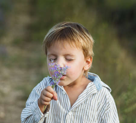 Little boy in lavender field  Outdoor summer portrait の写真素材