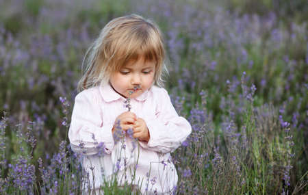 beautiful little girl in a lavender fieldの写真素材
