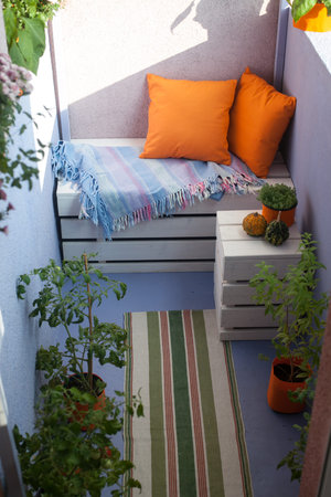 House plants on the balconyの写真素材