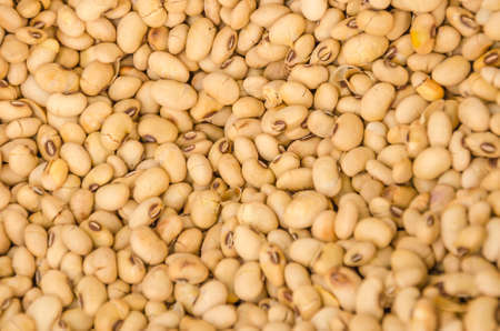 Thai nut in local marketの写真素材