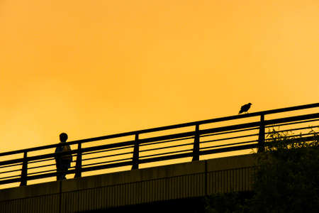 people walking through the bridge silhouetteの写真素材