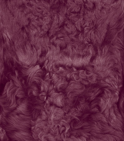 soft furの写真素材