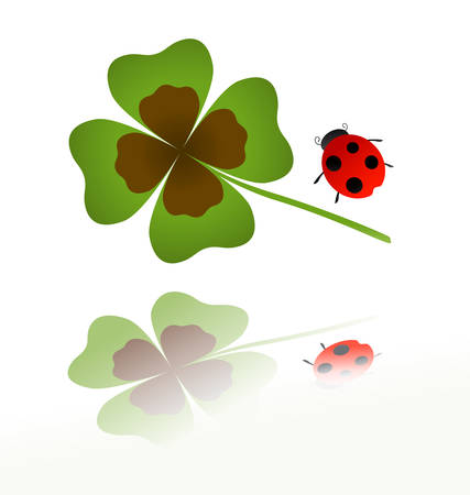 ladybird and shamrock leaf with reflectionのイラスト素材