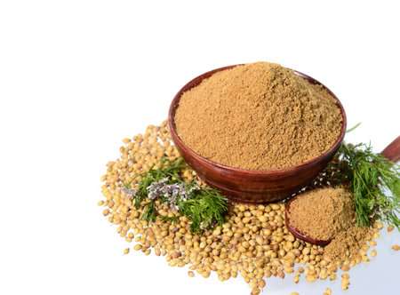 Coriander seeds, Fresh Coriander and Powdered coriander isolated on white background