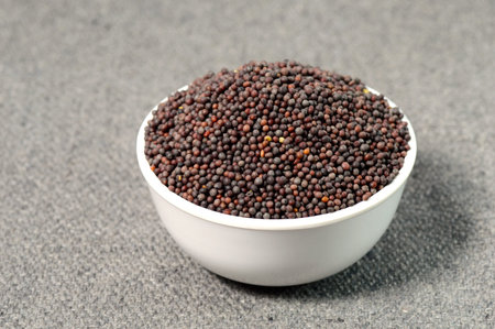 Brown Mustard Seeds in bowl on sackclothの写真素材