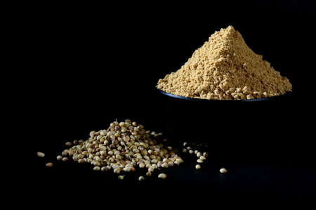 Coriander Powder and Coriander seeds on black backgroundの写真素材